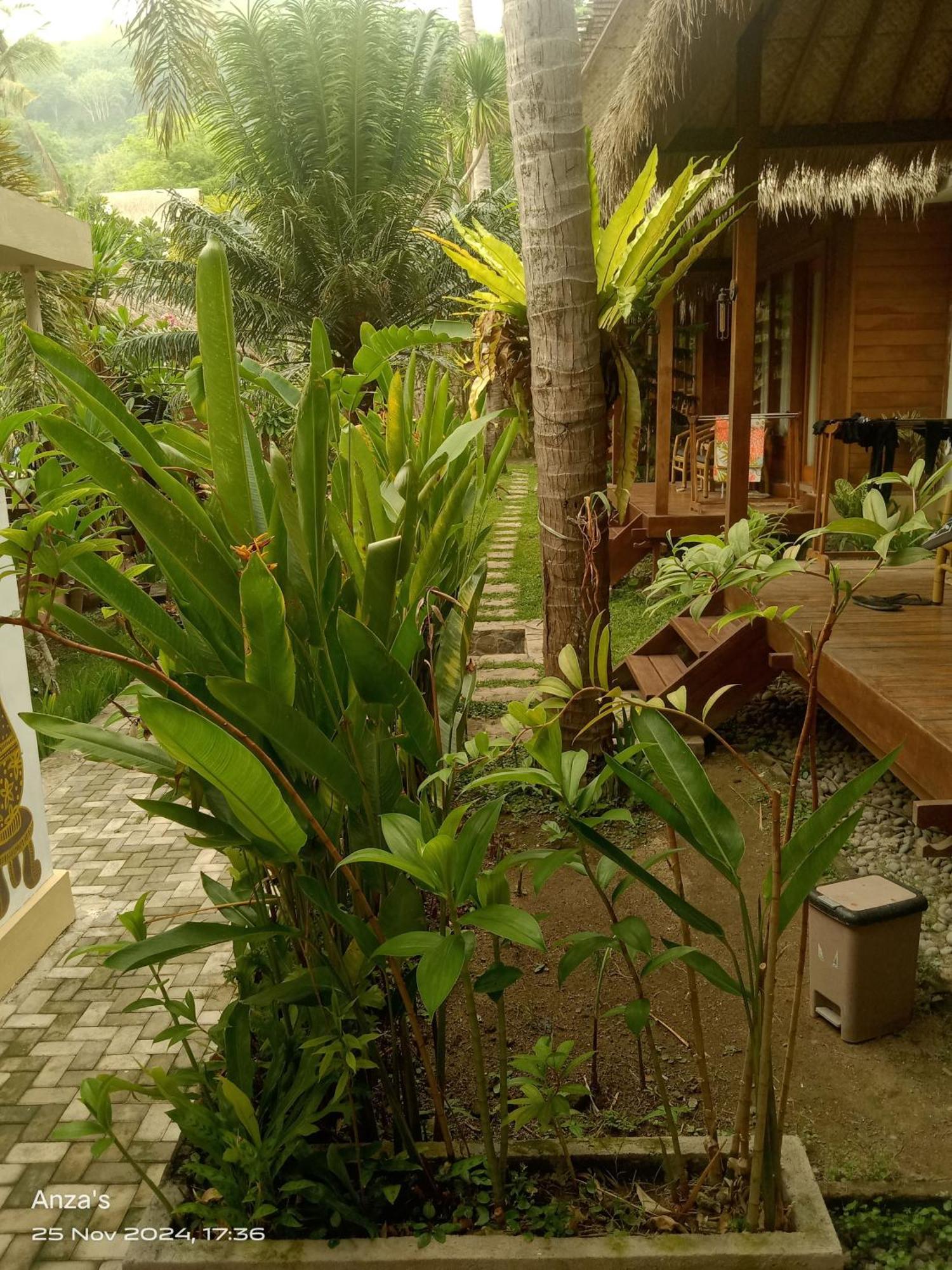 Village Vibes Lombok Kuta  Exterior foto